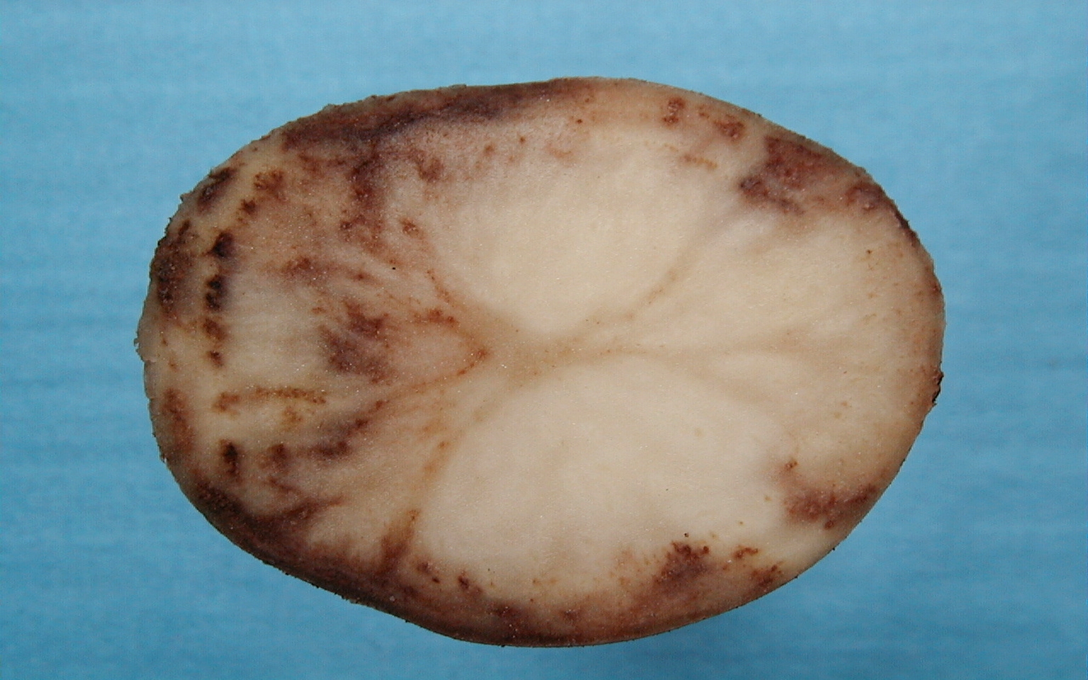 a close up of a potato